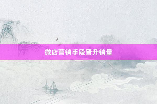微店营销手段晋升销量